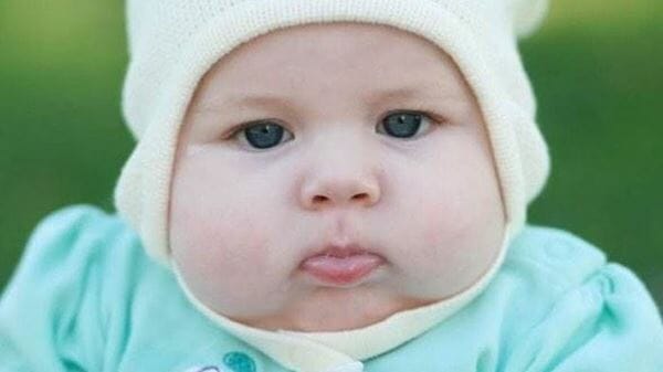 Detail Gambar Lucu Pipi Tembem Nomer 8