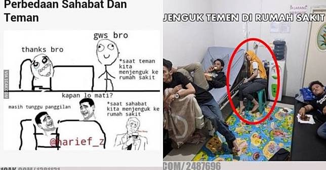 Detail Gambar Lucu Sahabat Berbagai Jenis Nomer 12