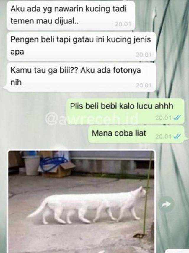 Detail Gambar Lucu Sahabat Berbagai Jenis Nomer 25