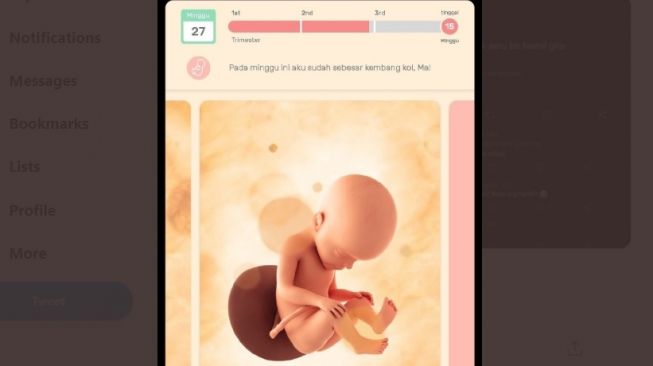Detail Gambar Lucu Tentang Kehamilan Nomer 34