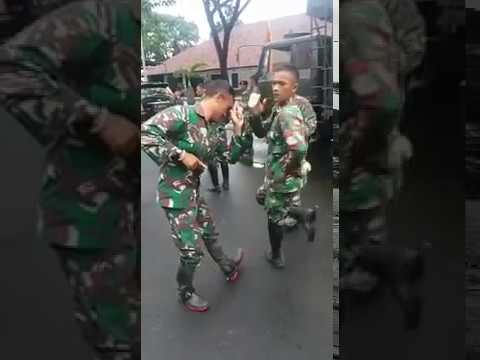 Detail Gambar Lucu Tentara Nomer 24