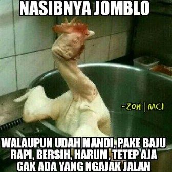 Detail Gambar Lucu Unik Nomer 2