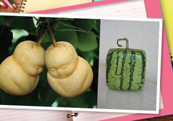 Detail Gambar Lucu Unik Nomer 34