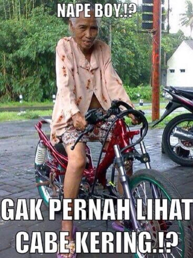 Detail Gambar Lucu Unik Nomer 45
