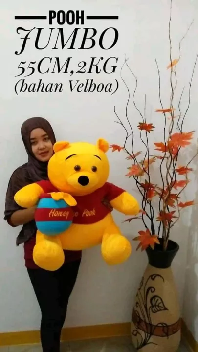 Detail Gambar Lucu Winnie The Pooh Memancing Nomer 50