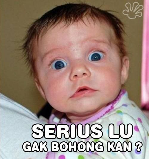 Detail Gambar Lucu Wow Nomer 3