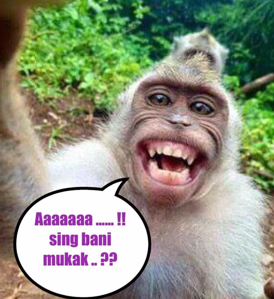 Detail Gambar Lucu Zadit Taqwa Nomer 8