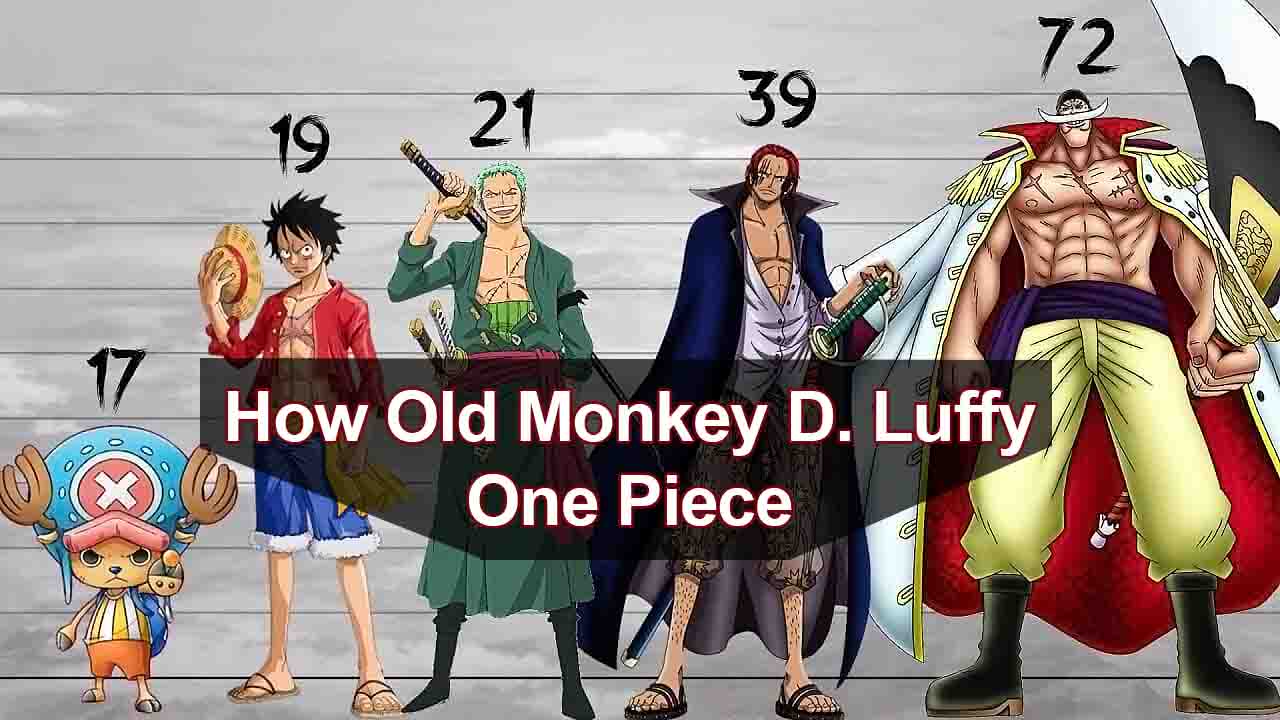 Detail Gambar Luffy One Piece Nomer 35