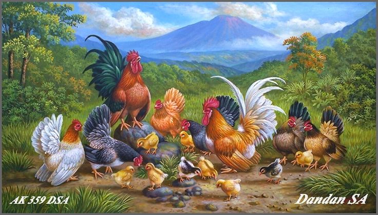 Detail Gambar Lukisan Ayam Nomer 29