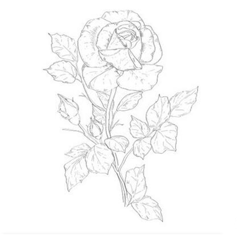 Detail Gambar Lukisan Bunga Dari Pensil Nomer 47
