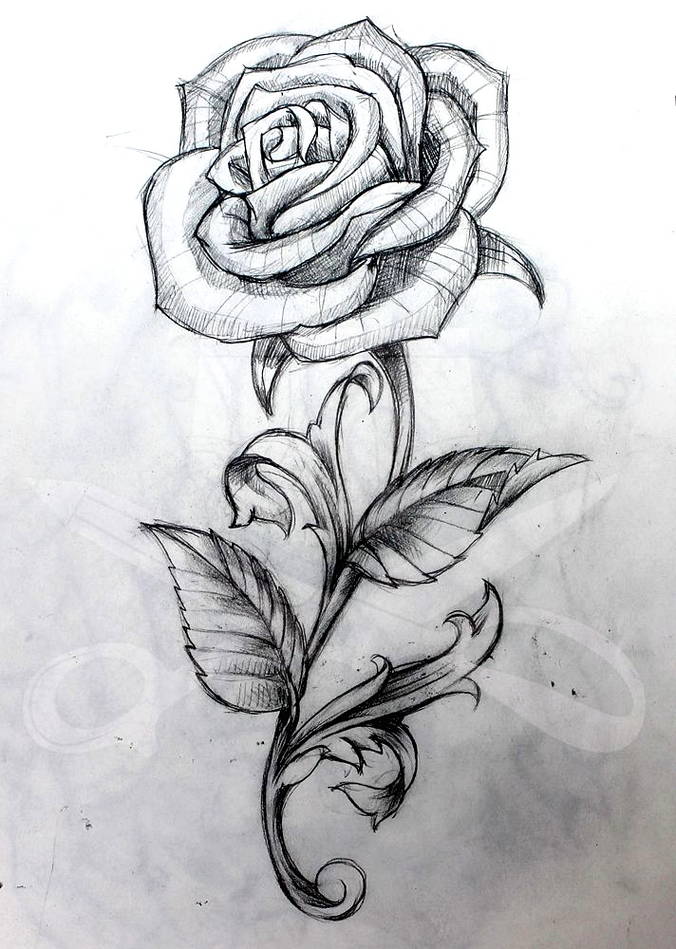 Detail Gambar Lukisan Bunga Dengan Pensil Nomer 53