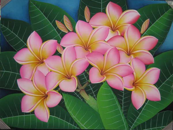 Detail Gambar Lukisan Bunga Gambar Bunga Kamboja Nomer 15