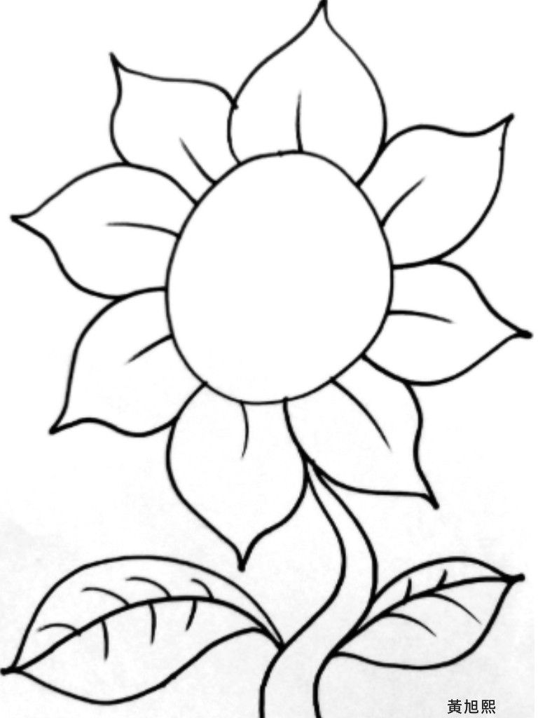 Detail Gambar Lukisan Bunga Hitam Putih Nomer 17