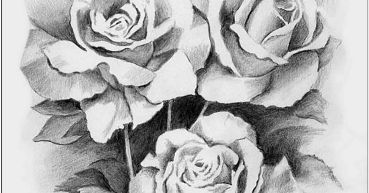 Detail Gambar Lukisan Bunga Mawar Hitam Putih Nomer 28