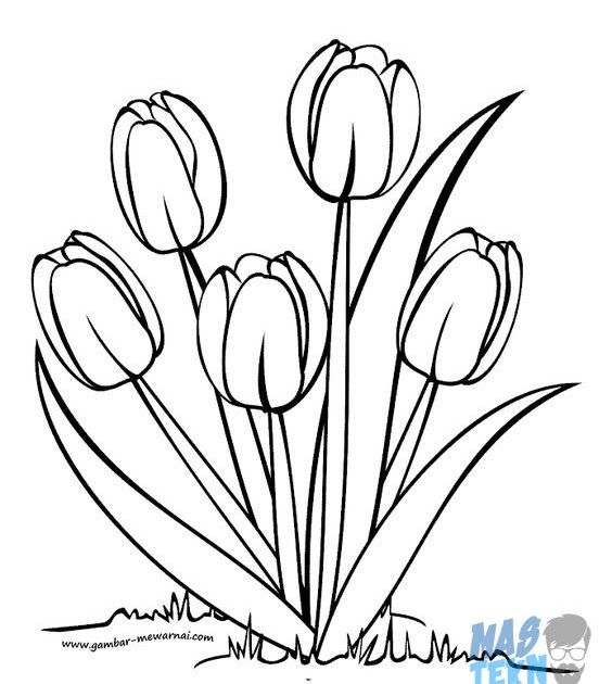 Detail Gambar Lukisan Bunga Mudah Digambar Nomer 15