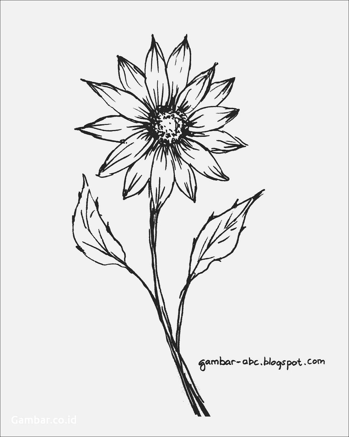 Detail Gambar Lukisan Bunga Mudah Digambar Nomer 48