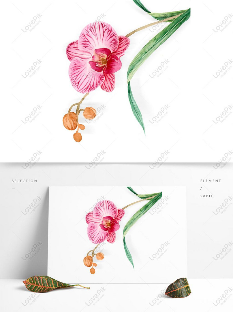 Gambar Lukisan Bunga Orkid - KibrisPDR