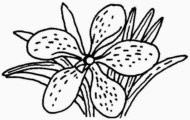 Detail Gambar Lukisan Bunga Orkid Nomer 7