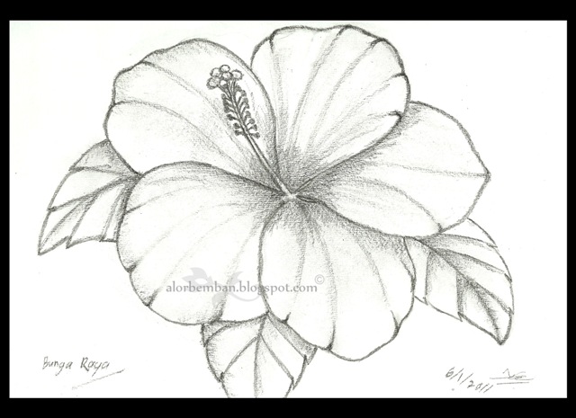 Detail Gambar Lukisan Bunga Raya Nomer 16