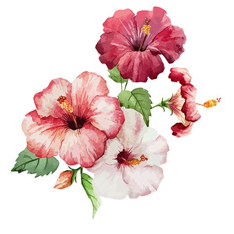 Detail Gambar Lukisan Bunga Raya Nomer 32