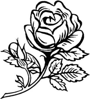 Detail Gambar Lukisan Bunga Ros Nomer 45