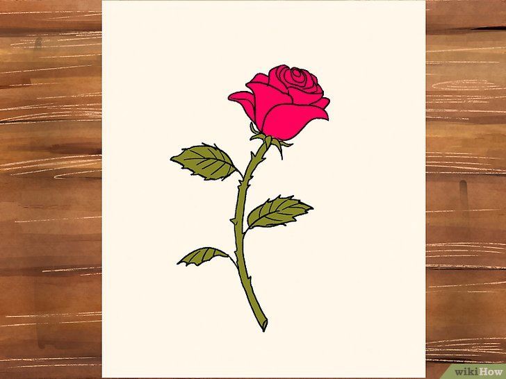 Detail Gambar Lukisan Bunga Rose Nomer 5
