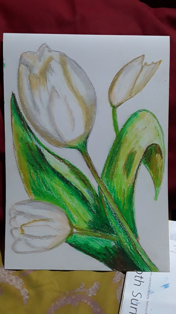 Detail Gambar Lukisan Bunga Tulip Nomer 9