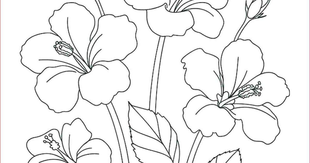 Detail Gambar Lukisan Bunga Yang Mirip Jagung Nomer 5