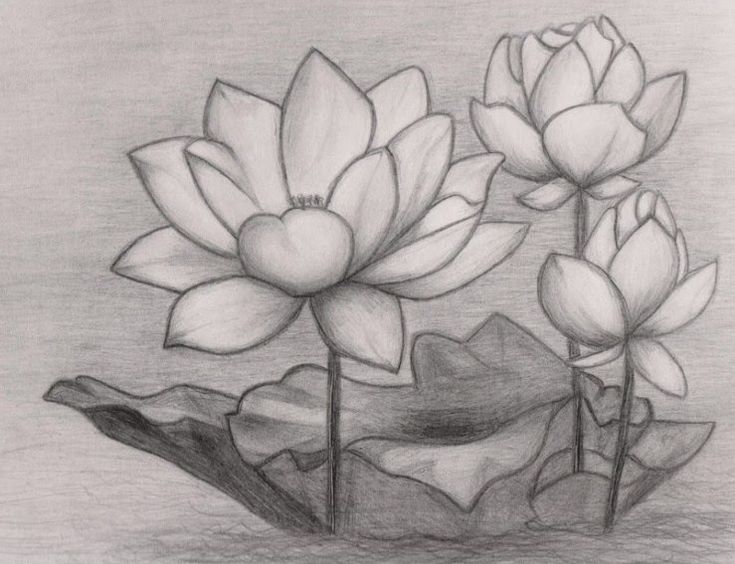 Detail Gambar Lukisan Bunga Yang Sederhana Nomer 41