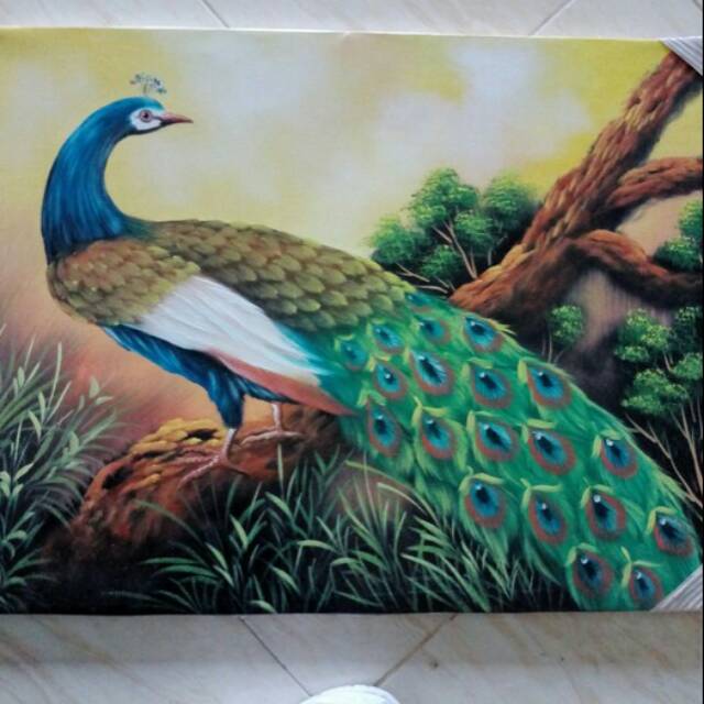 Detail Gambar Lukisan Burung Merak Nomer 26