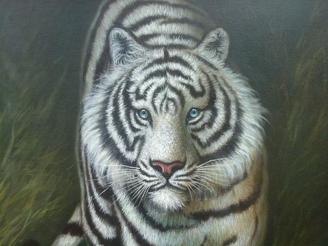 Detail Gambar Lukisan Harimau Putih Nomer 49