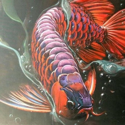 Detail Gambar Lukisan Ikan Nomer 49