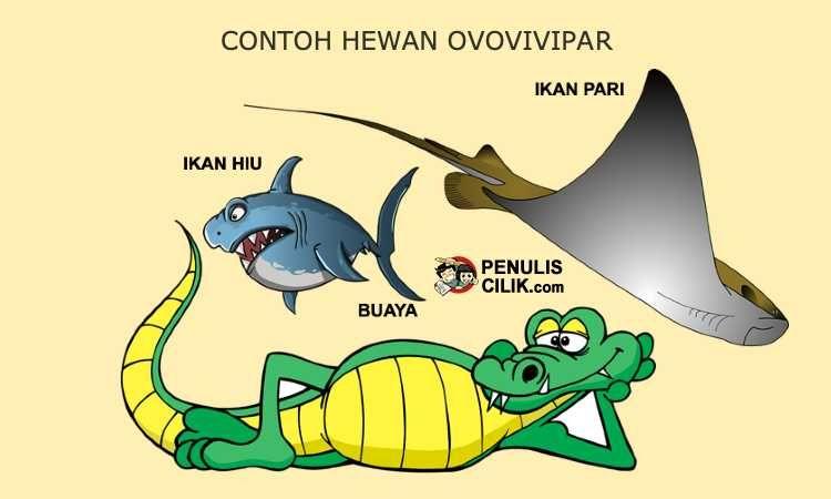 Detail Gambar Lukisan Ikan Buaya Nomer 7