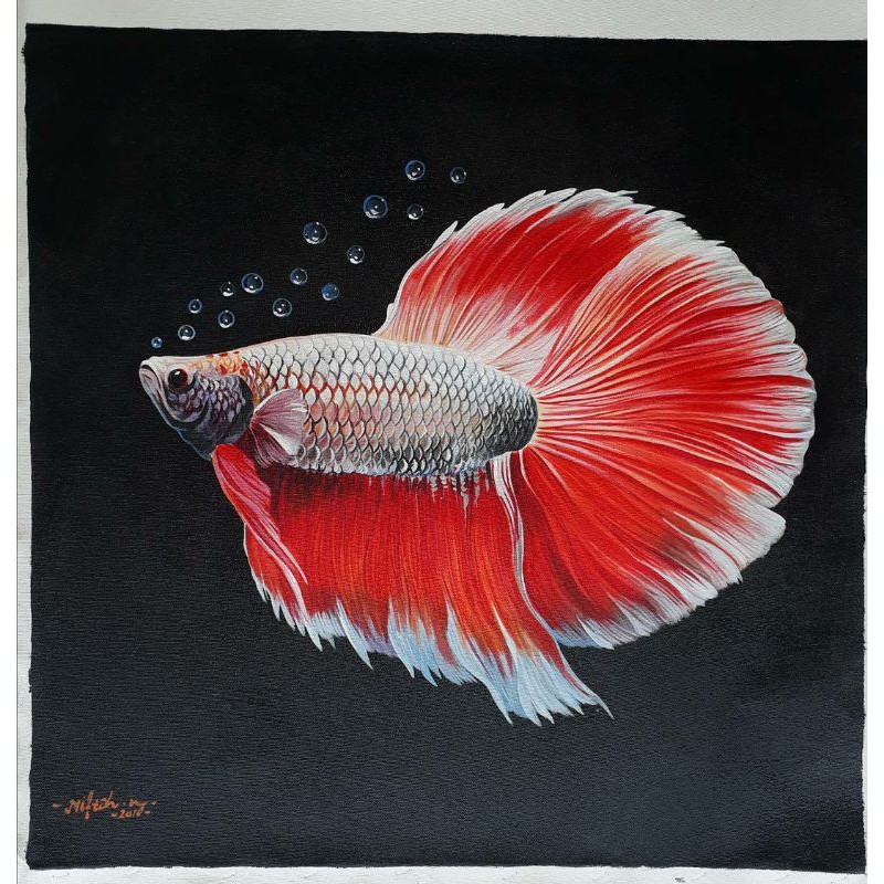 Detail Gambar Lukisan Ikan Cupang Nomer 4