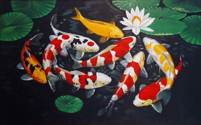 Detail Gambar Lukisan Ikan Koi Yg Mudah Ditiru Nomer 2