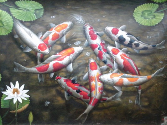 Detail Gambar Lukisan Ikan Koi Yg Mudah Ditiru Nomer 17