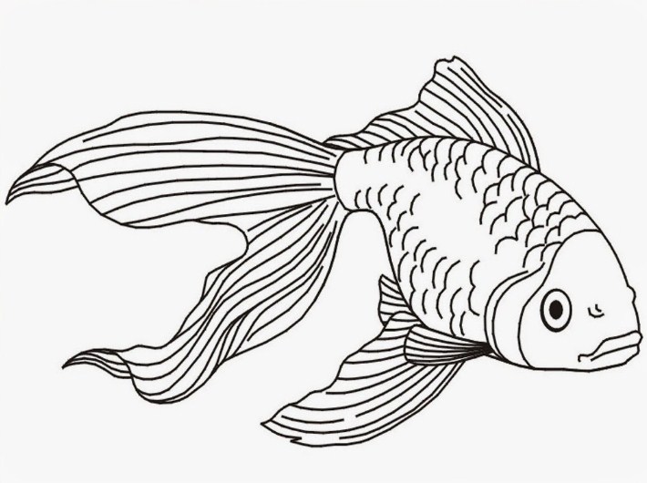 Detail Gambar Lukisan Ikan Koi Yg Mudah Ditiru Nomer 20