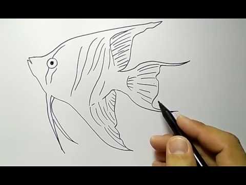 Detail Gambar Lukisan Ikan Koi Yg Mudah Ditiru Nomer 21