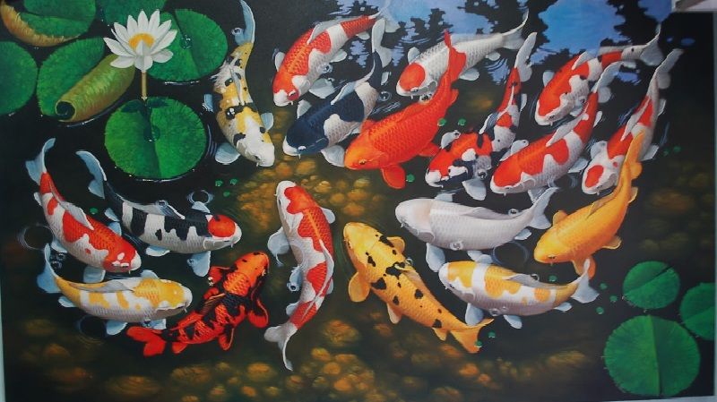 Detail Gambar Lukisan Ikan Koi Yg Mudah Ditiru Nomer 24