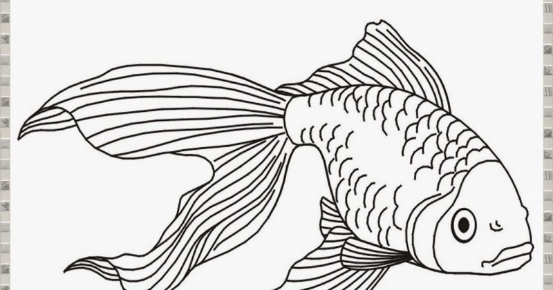 Detail Gambar Lukisan Ikan Koi Yg Mudah Ditiru Nomer 27