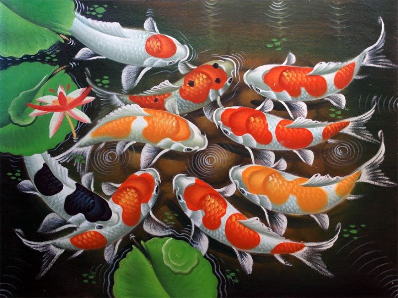 Detail Gambar Lukisan Ikan Koi Yg Mudah Ditiru Nomer 4
