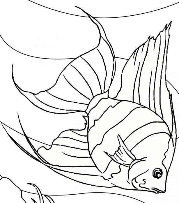 Detail Gambar Lukisan Ikan Koi Yg Mudah Ditiru Nomer 31