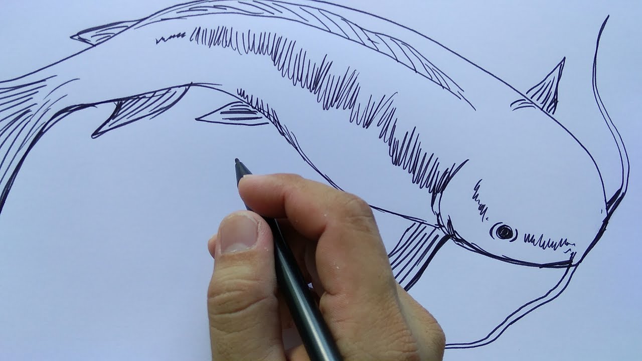 Detail Gambar Lukisan Ikan Koi Yg Mudah Ditiru Nomer 33