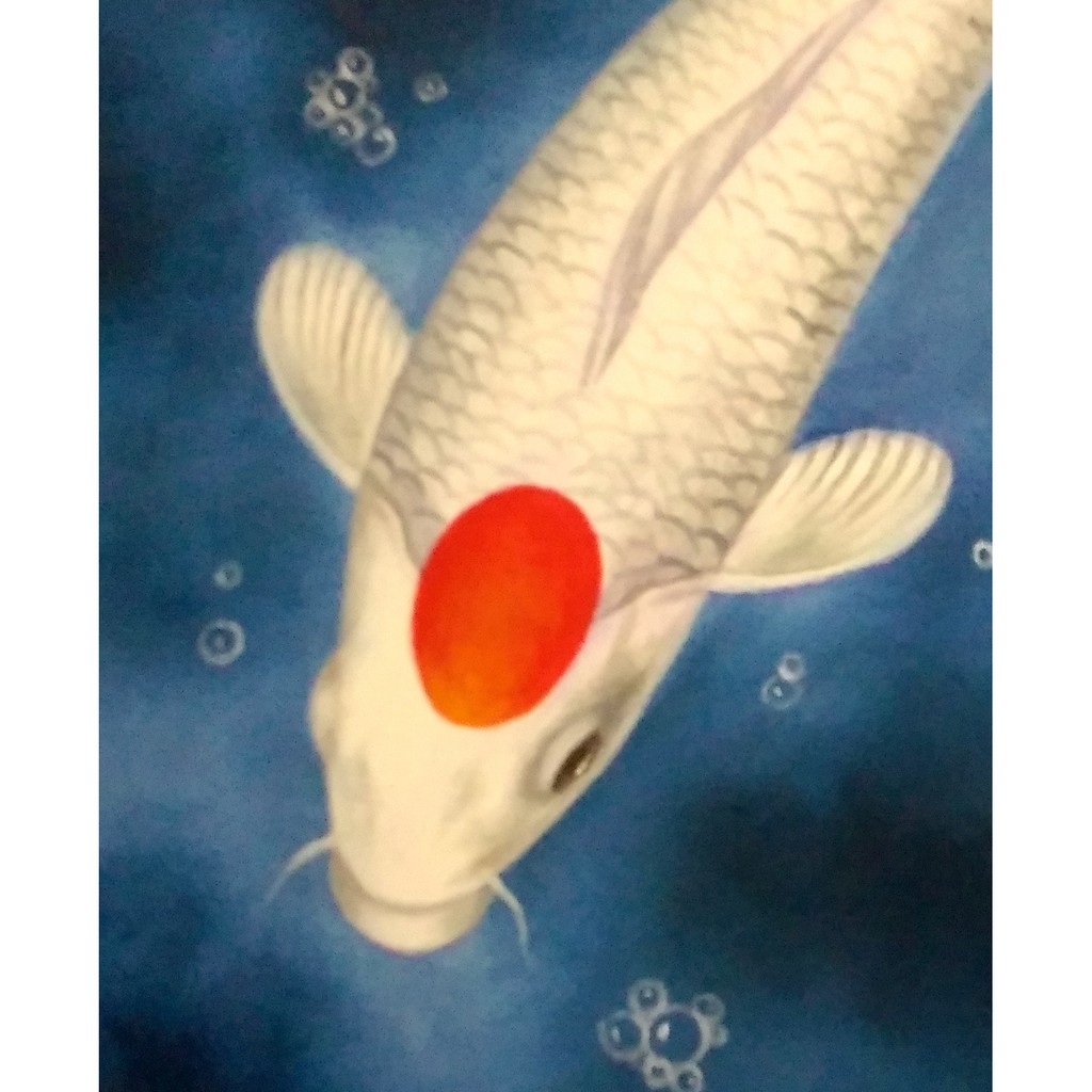 Detail Gambar Lukisan Ikan Koi Yg Mudah Ditiru Nomer 36