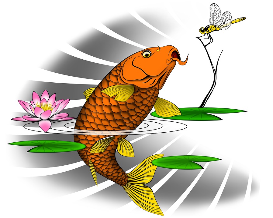 Detail Gambar Lukisan Ikan Koi Yg Mudah Ditiru Nomer 37