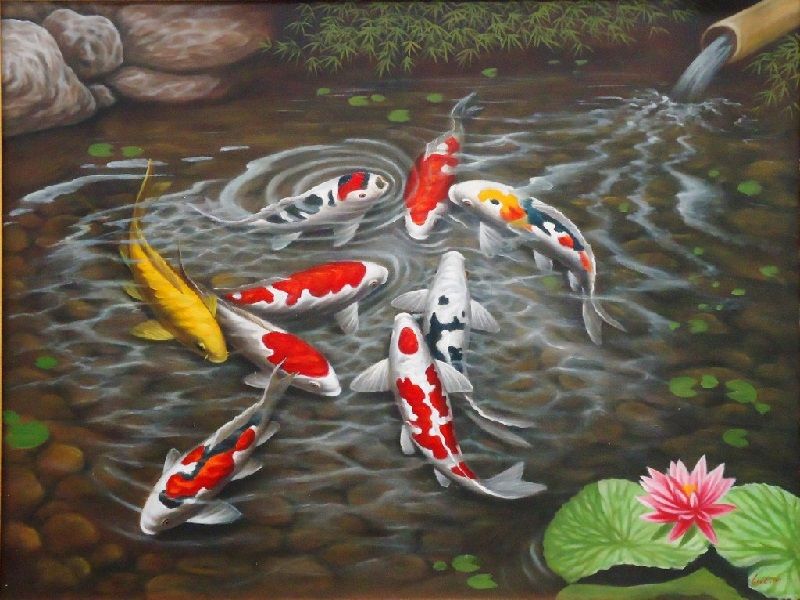 Detail Gambar Lukisan Ikan Koi Yg Mudah Ditiru Nomer 5