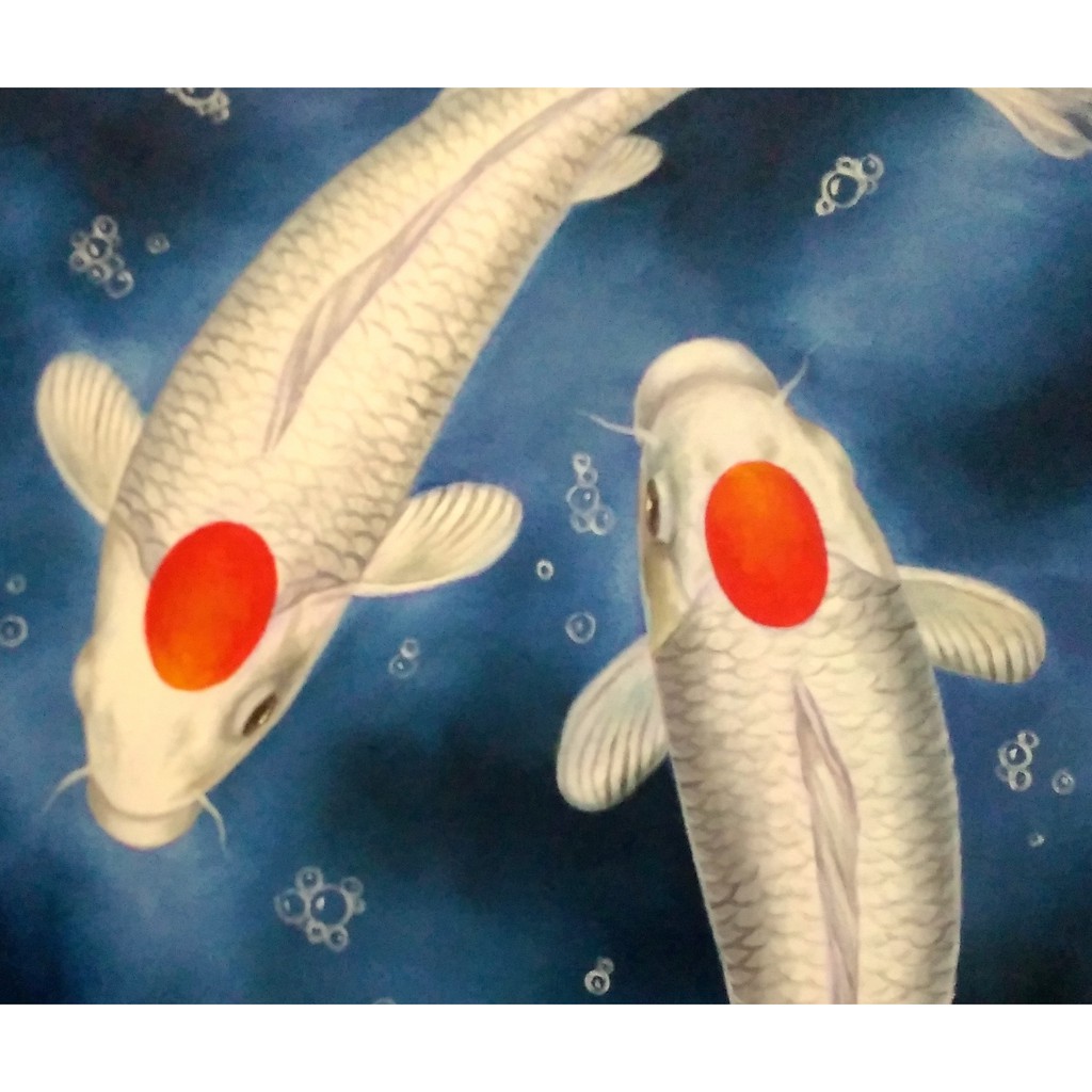 Detail Gambar Lukisan Ikan Koi Yg Mudah Ditiru Nomer 51