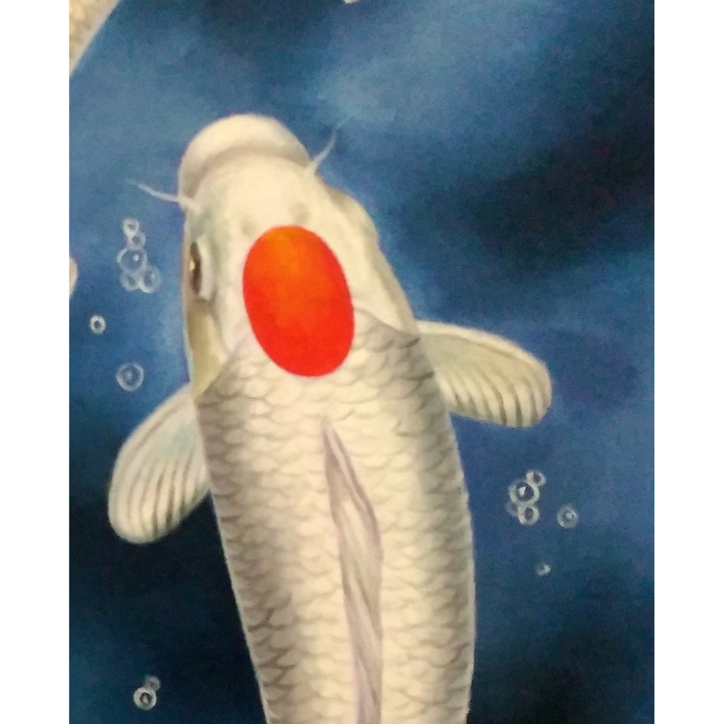 Detail Gambar Lukisan Ikan Koi Yg Mudah Ditiru Nomer 52