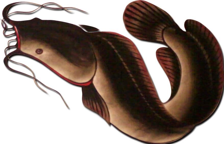 Detail Gambar Lukisan Ikan Lele Nomer 8