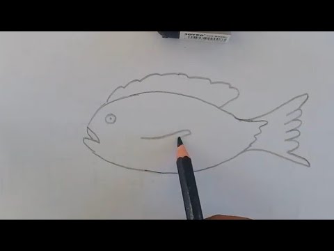 Detail Gambar Lukisan Ikan Mujair Nomer 7